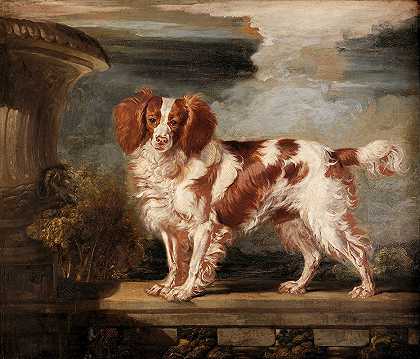 詹姆斯·沃德（James Ward）的《达什（Dash）肖像，一只最受欢迎的西班牙犬，弗朗西斯·范·坦佩斯夫人的财产》（Lady Frances Vane Tempest）