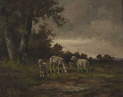 米查·埃尔维罗·安德里奥利的《森林边缘草地上的羊》