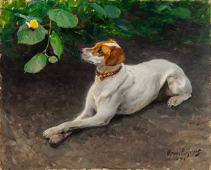 布鲁诺·利尔杰福斯的《狗的肖像》