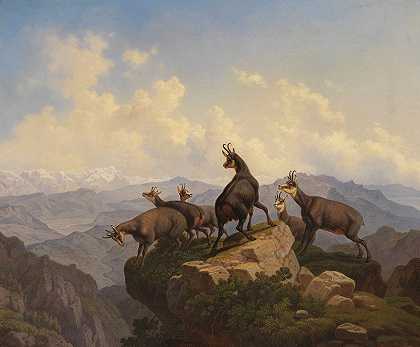 Friedrich Hohe的《Gemsen im Karwendel》