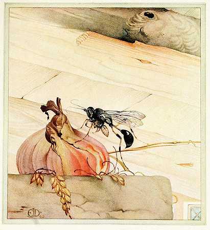 爱德华·朱利叶斯·德莫尔德的《梅森黄蜂》