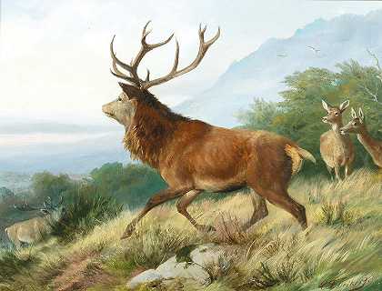 Carl Friedrich Deiker的《车辙季节的红鹿》