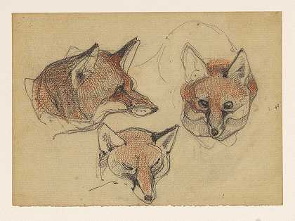 伯纳德·威廉·维林克的《三只狐狸头》