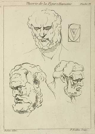 彼得·保罗·鲁本斯对男人的头和胡子的三项研究