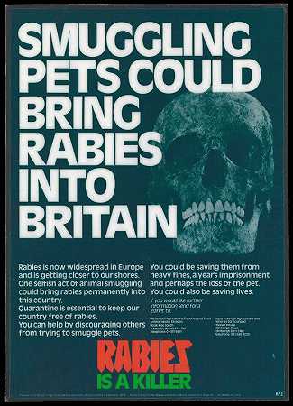 农业、渔业和食品部表示，走私宠物可能会将狂犬病带入英国
