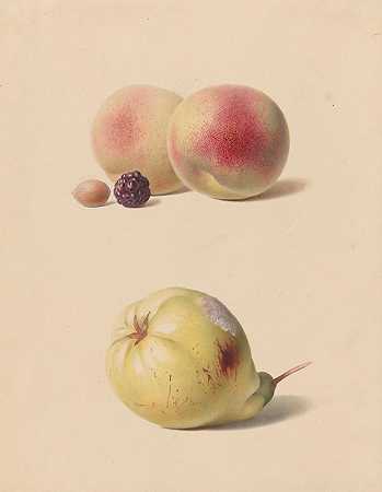 亨德里克·里克斯的《桃子、黑莓、榛子和梨》