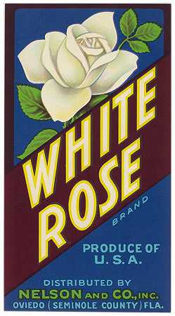“白玫瑰品牌柑橘标签”