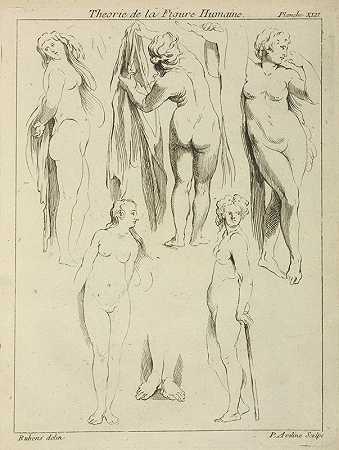 彼得·保罗·鲁本斯对站立女性裸体和双脚的研究