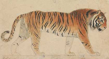 托马斯·斯托塔德的《一只老虎》
