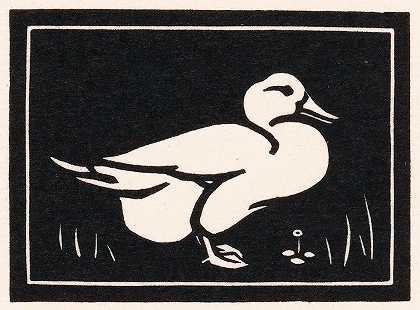 朱莉·德·格拉格的《鸭子》