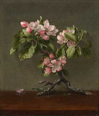 马丁·约翰逊·海德的《苹果开花》