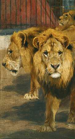 Wilhelm Kuhnert的《狮子》