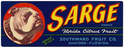 “Sarge品牌佛罗里达柑橘水果标签”