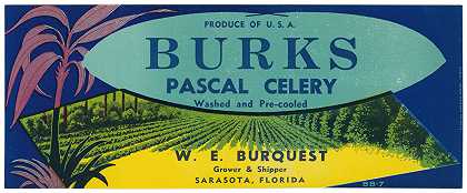 “Burks Pascal芹菜标签”