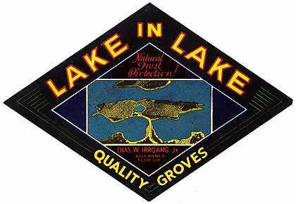 “湖中湖柑橘”标签