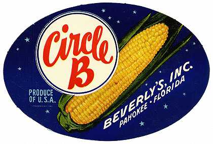 “圈B玉米标签”