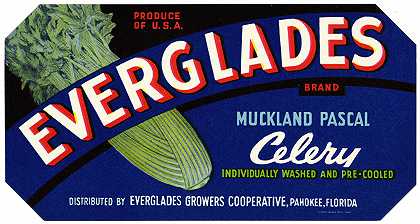 “Everglades品牌Muckland Pascal芹菜标签”