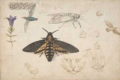 乔治·迪·乔瓦尼《龙胆、蛾、鸟、猫、交错母题和希腊小品的研究》