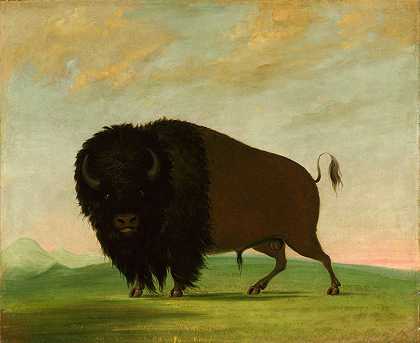 乔治·卡特林的《野牛在草原上吃草》