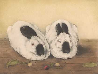弗兰斯·埃弗巴格的《两只俄罗斯兔子》
