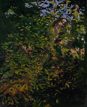 “森林中的孔雀”，为阿博特·汉德森·塞耶的《动物王国中的隐藏色彩》一书进行研究