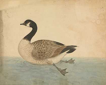 詹姆斯·索尔比的《一只鹅》