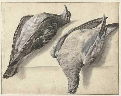 Rochus van Veen的《两只死鸽子》