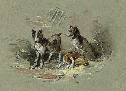 查尔斯·B·纽豪斯的《小巷里的三条狗》