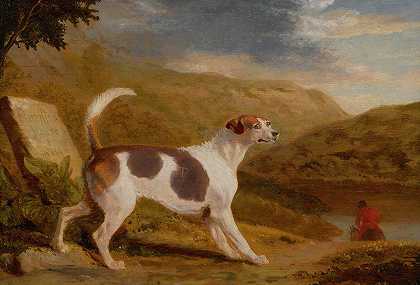 乔治·加拉德的《苏格兰风景中的桑顿上校的猎犬》