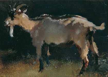 安东·施罗德的《山羊》