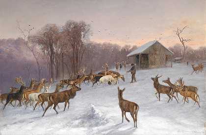 Wilhelm Richter的《冬季饲养休耕鹿和马鹿》