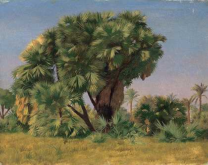 让·莱昂·杰罗姆的《棕榈树研究》