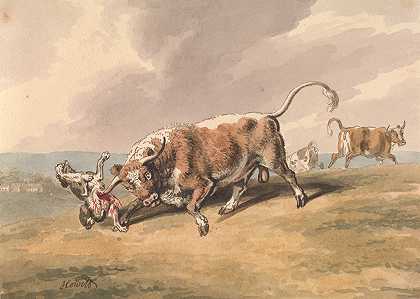 塞缪尔·霍伊特的《公牛袭击狗》