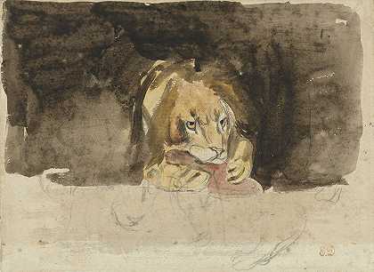 “肉食狮子，从前面看，迎面走来，是尤金·德拉克罗瓦喜欢的黑暗