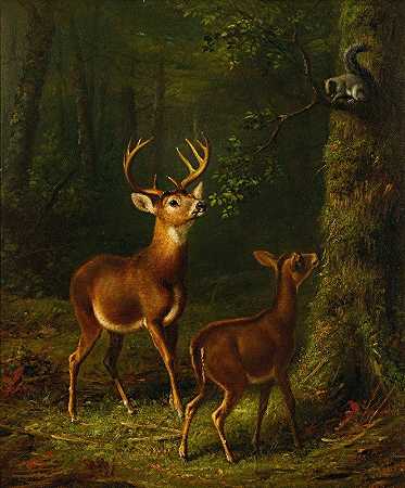 阿瑟·菲茨威廉·泰特的《森林，阿迪朗达克斯》