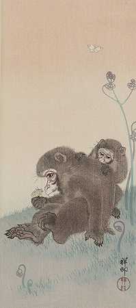 《两只猴子和蝴蝶》作者：Ohara Koson