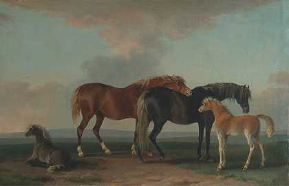 “马驹和马驹，面向右侧，Sawrey Gilpin