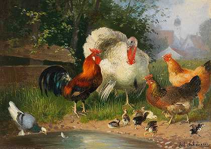 朱利叶斯·舍勒的《火鸡、鸡、鸡和鸽子在药水里》
