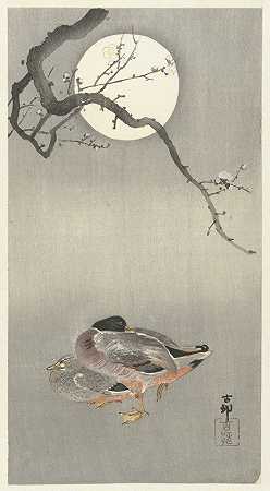 《满月的鸭子》作者：Ohara Koson