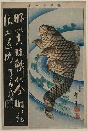 Katsushika Taito II的《鲤鱼和水草》