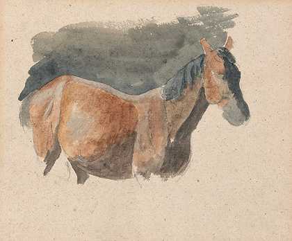 罗伯特·希尔斯的《马的素描》