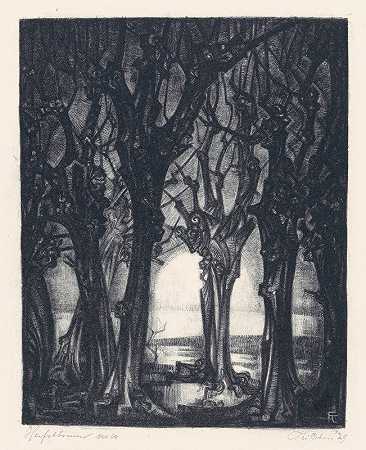 弗雷德里卡·索菲亚·科恩的《秋天的树》
