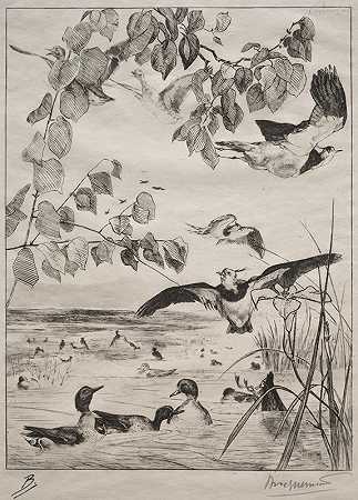 Félix Bracquemond的《鸡翅和水鸭》