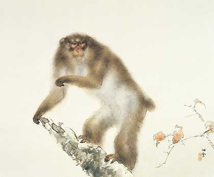 桥本康熙的《秋天的樱桃老猴子》