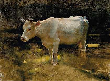 约瑟夫·法库哈森对草地上一头牛的研究
