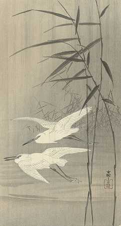 《两只白鹭在飞行》作者：Ohara Koson
