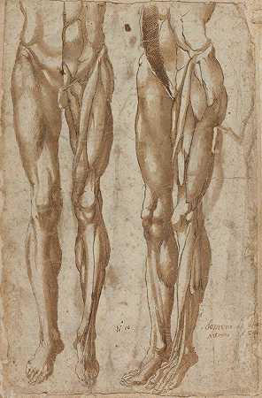 巴托洛莫·达·阿雷佐的《两个剥皮人的研究》
