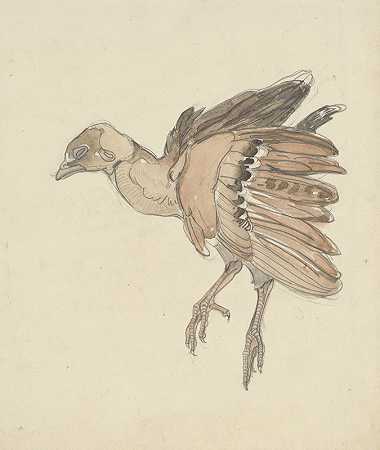 西奥·范·霍伊特马的《死亡鸟》