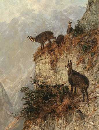 Julius Arthur Thiele的《山上的羚羊》