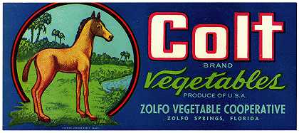 “Colt品牌蔬菜标签”